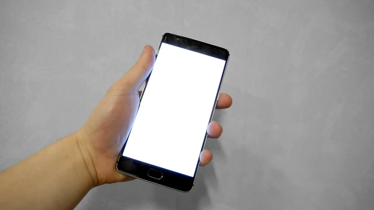 Photo by Santeri Viinamäki, licensed under CC BY-SA 4.0 (Wikimedia Commons) Hand holding a smartphone with a blank white screen, evoking choosing a streaming or player app