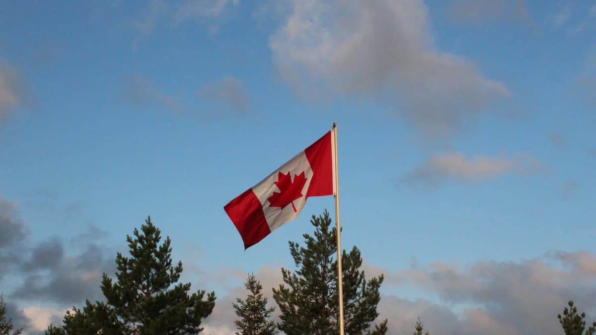 Photo by Angry Red Hammer Guy, licensed under CC BY-SA 4.0 (Wikimedia Commons) The flag of Canada waving on a flagpole above evergreen trees at sunrise